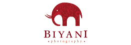 Biyani Photo & Cinema Luxury Indian Wedding Photography & Cinema